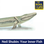 Neil Shubin: Your Inner Fish