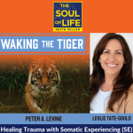 Healing Trauma With Somatic Experiencing (SE)