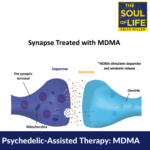 Psychedelic Assisted Psychotherapy: MDMA (S1 Replay)